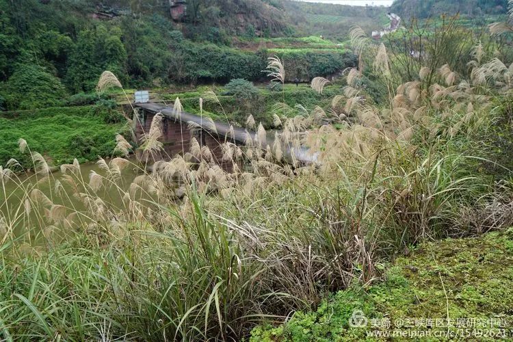 北碚复兴镇最近的视频,重庆市北碚龙门桥