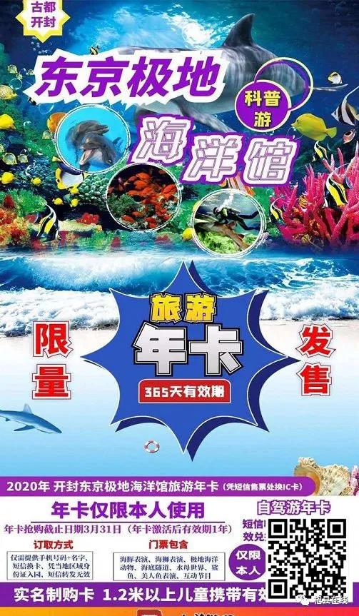 开封东京极地海洋馆路线,开封极地海洋馆今天开放了吗