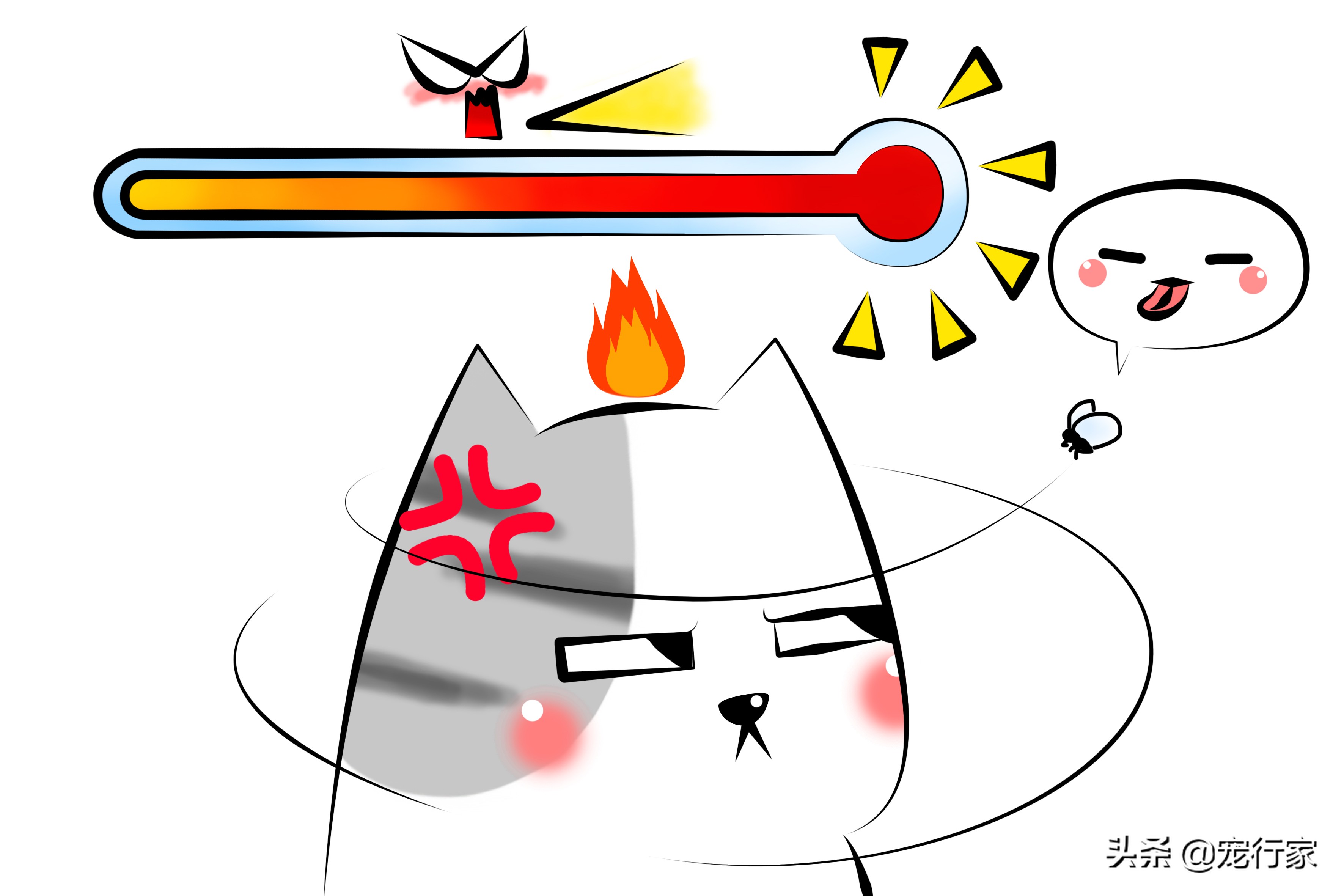 猫咪爱偷吃家里食物,猫咪爱抓鸟吃