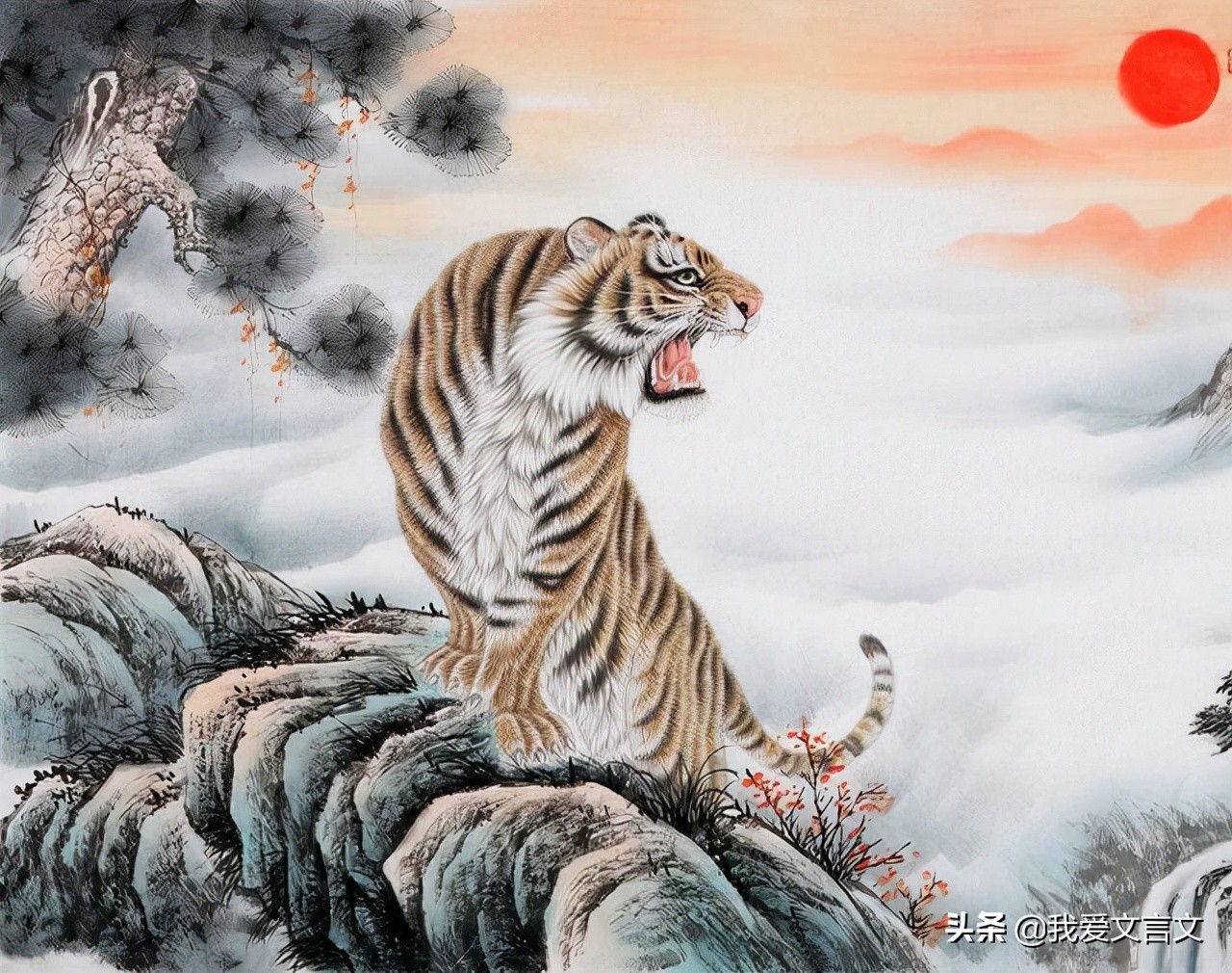 关于虎的文言文,说虎文言文断句