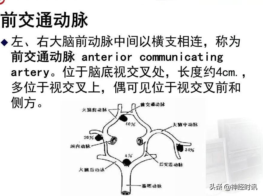 脑动脉解剖学讲解,脑膜中动脉解剖讲解