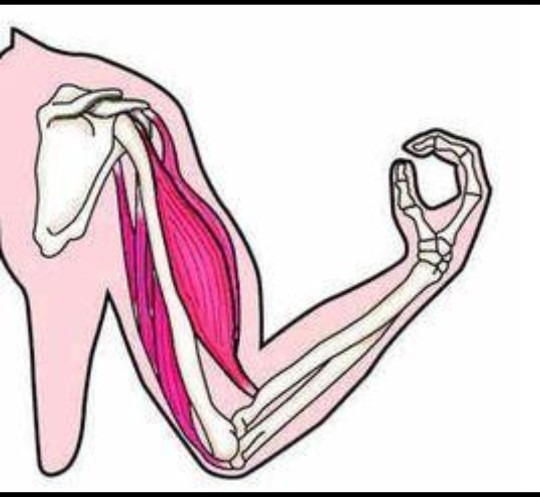 太极札记96,太极札记62