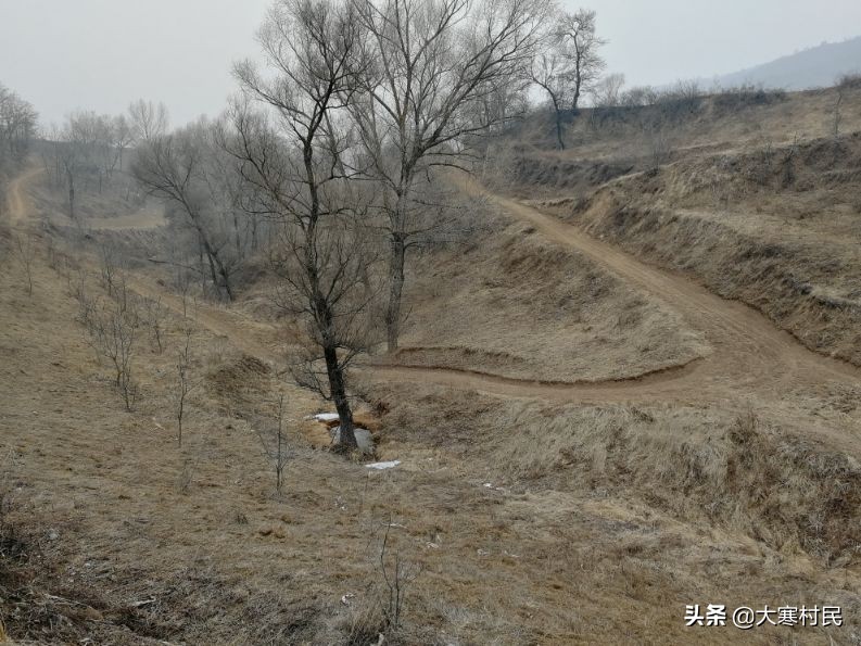 想象春天,想象中的春天