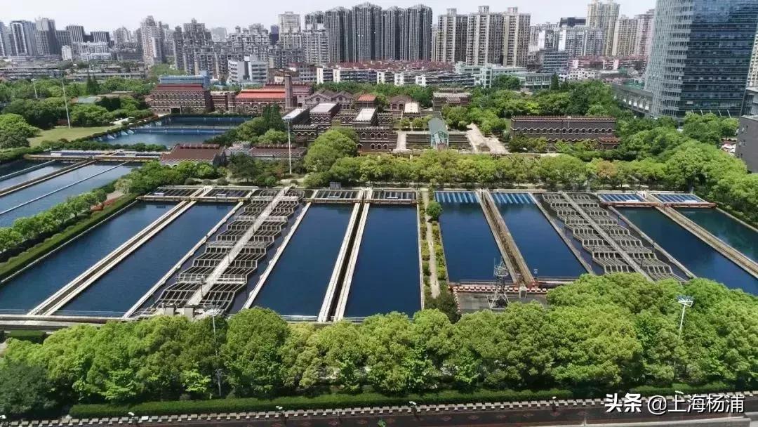 上海杨浦鸟瞰图,俯瞰上海杨浦滨江