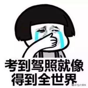 学车的心酸感悟,学车悲惨经历