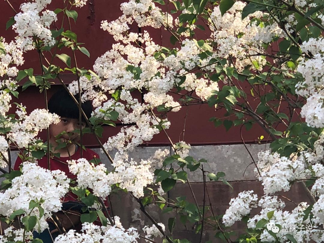 最近想得比较多胡思乱想,最近想事情想得多了