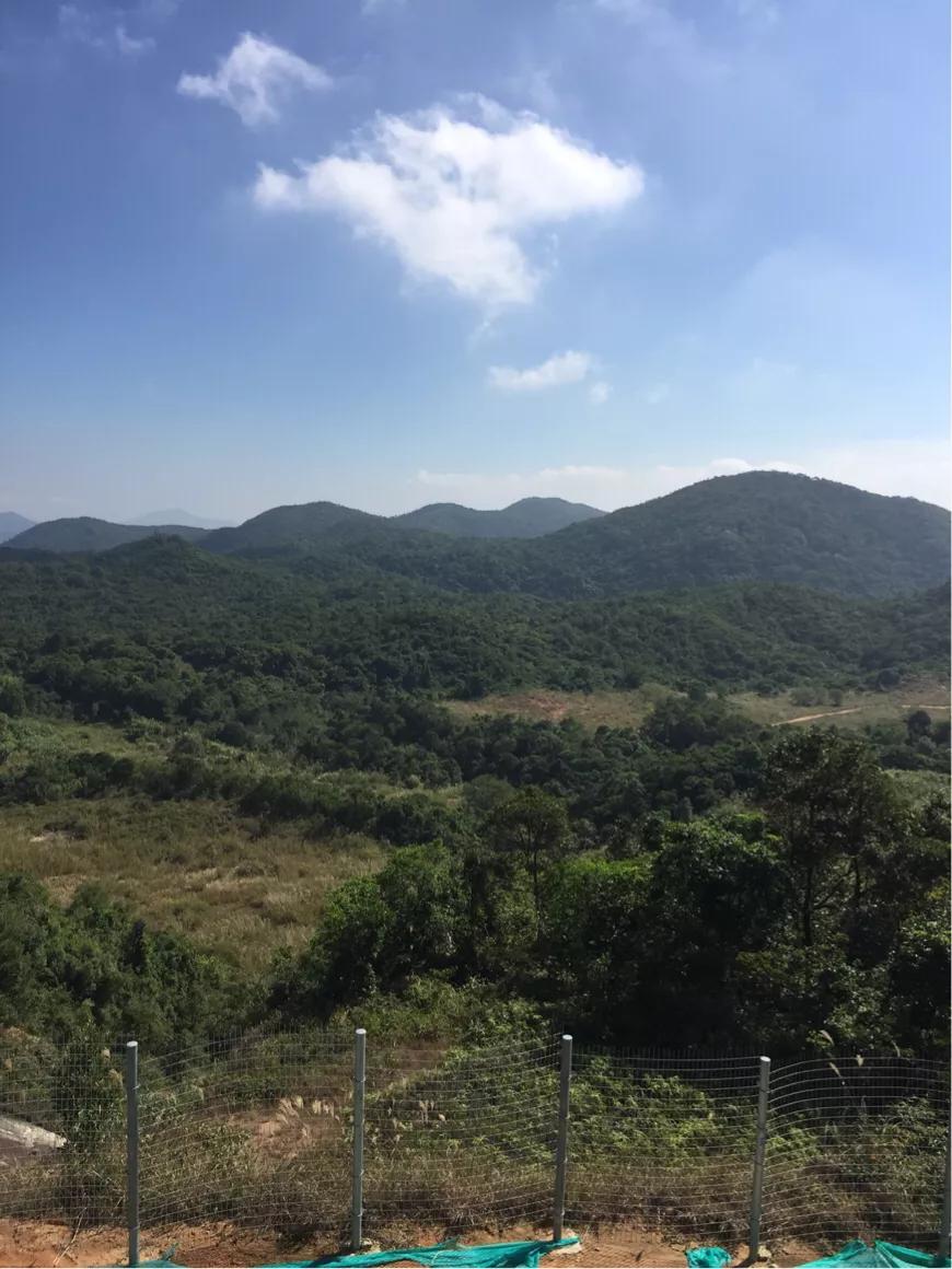 深圳马峦山风景图片,深圳马峦山风景