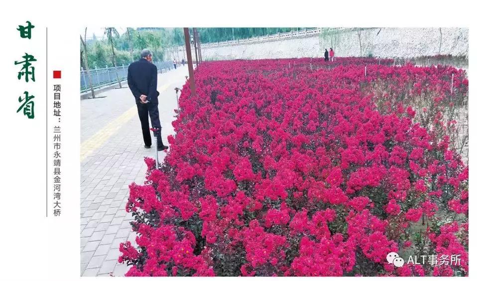 天鹅绒紫薇花烂漫,花争艳