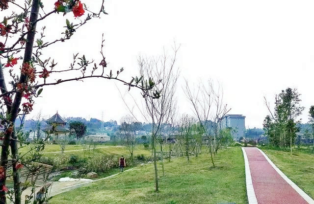 田锡水景公园效果图,最新洪雅湿地公园