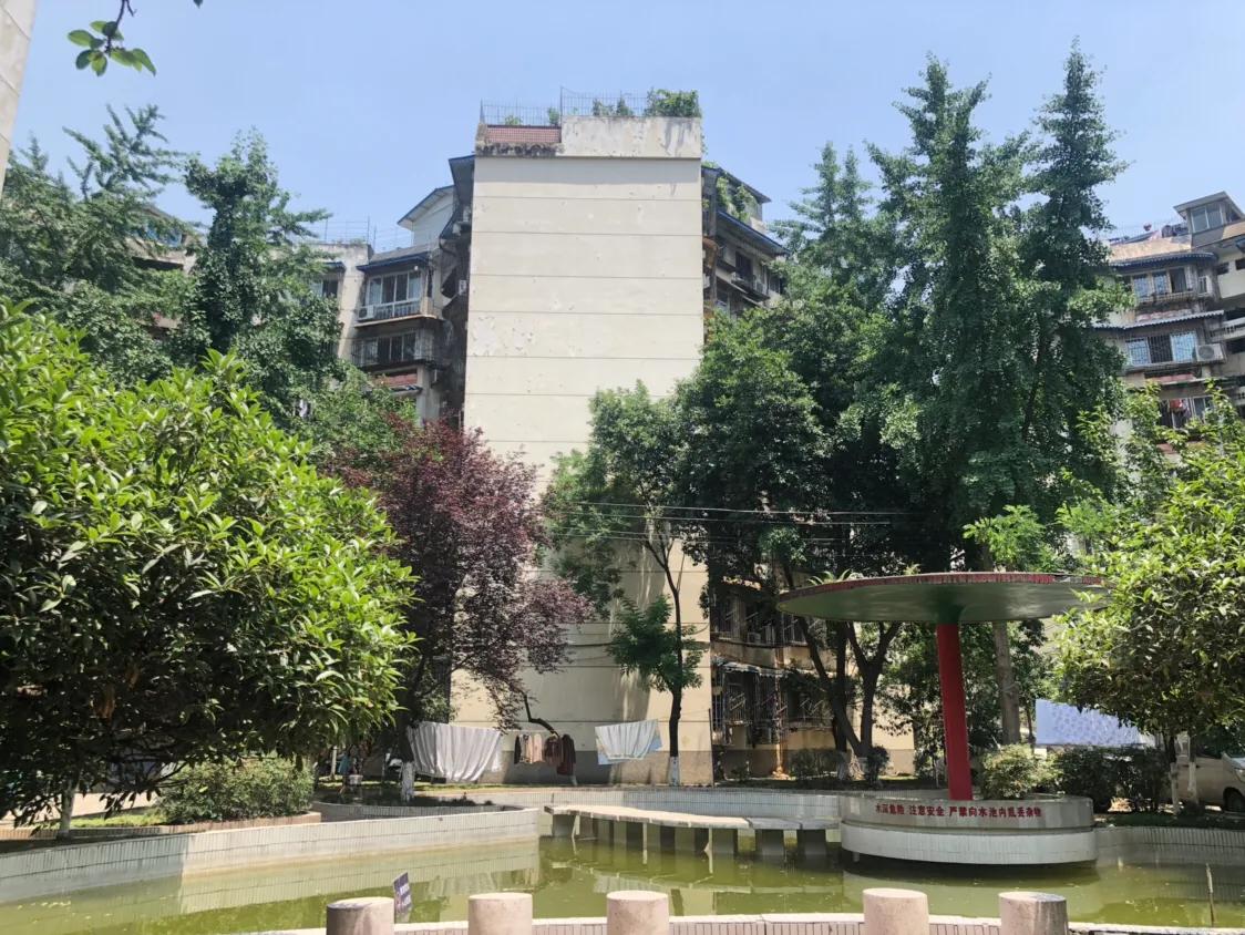 棕北棕南，这个曾比玉林桐梓林还牛的富人区，已经“过气”