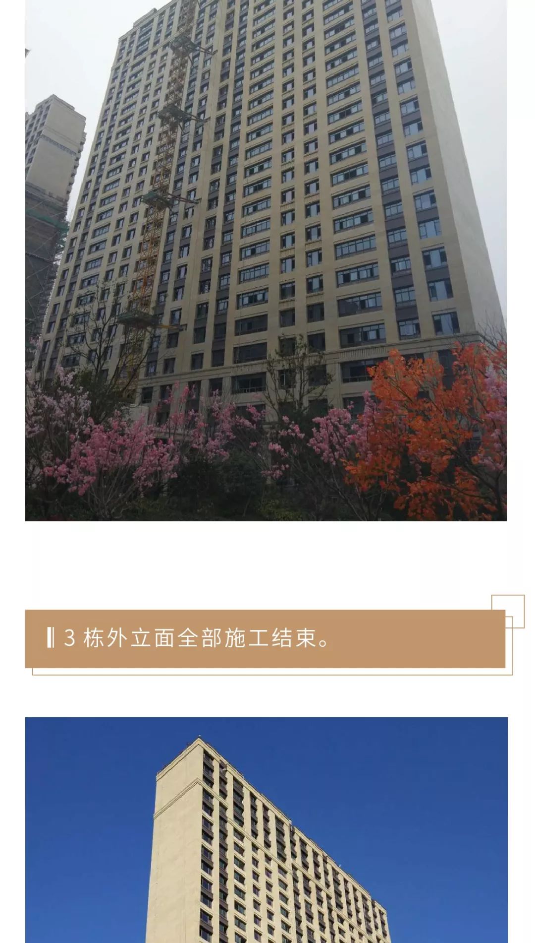 河西中房价历年走势,河西中次新豪宅