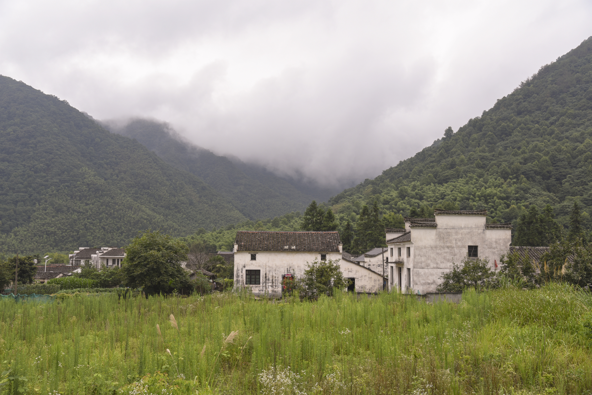 自驾黄山太平湖攻略路线推荐,黄山太平湖旅游攻略一日游