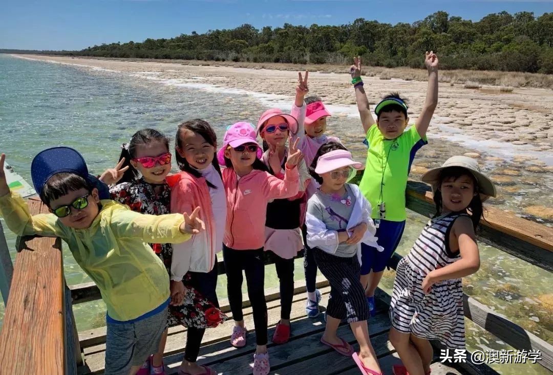 澳洲游学满载而归,澳洲亲子游学日程安排