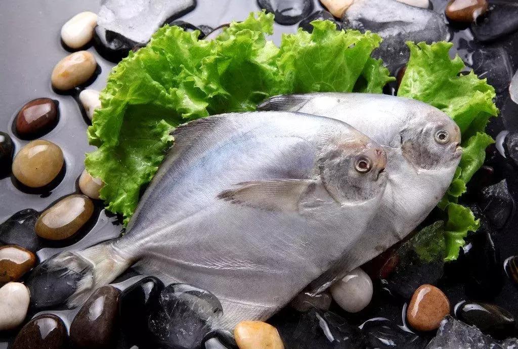 世界最好吃的十大海鲜排行榜,温州最有名的十大海鲜