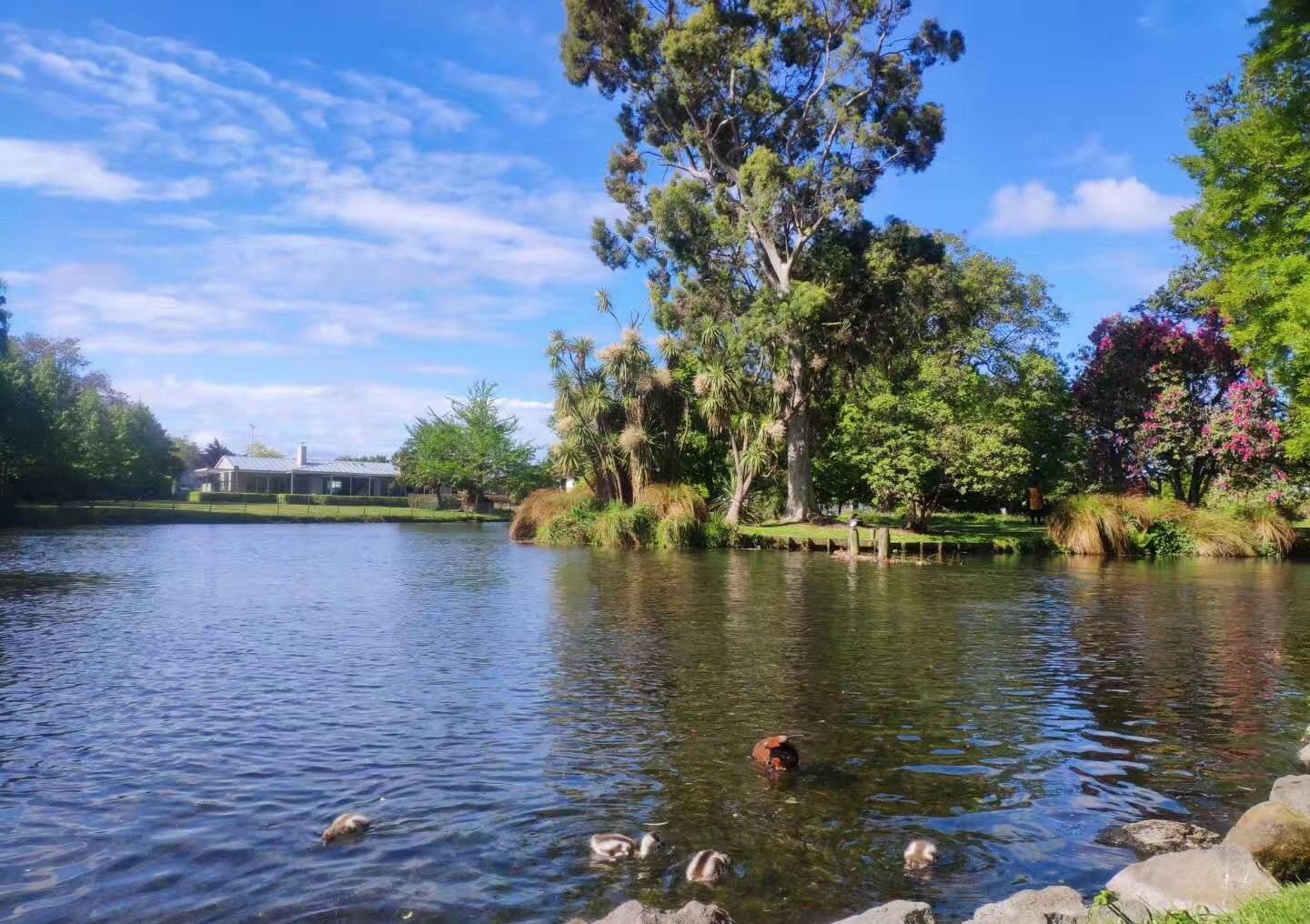 新西兰移民局何时恢复,新西兰移民局处理签证进度