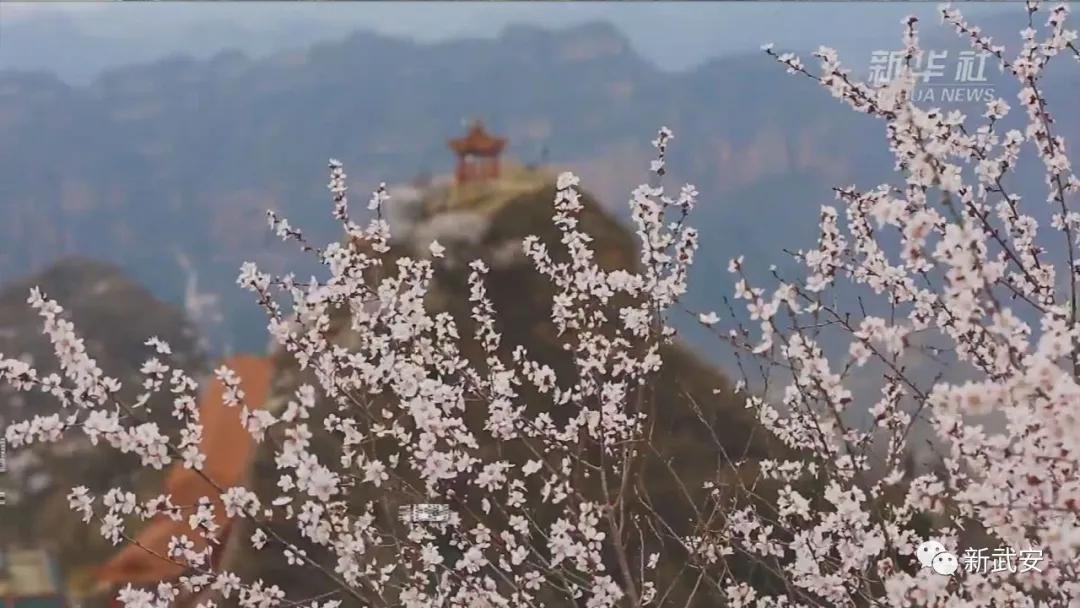 <html>
<head><title>502BadGateway</title></head>
<body>
<center><h1>502BadGateway</h1></center>
<hr><center>nginx</center>
</body>
</html>
<!--apaddingtodisableMSIEandChromefriendlyerrorpage-->
<!--apaddingtodisableMSIEandChromefriendlyerrorpage-->
<!--apaddingtodisableMSIEandChromefriendlyerrorpage-->
<!--apaddingtodisableMSIEandChromefriendlyerrorpage-->
<!--apaddingtodisableMSIEandChromefriendlyerrorpage-->
<!--apaddingtodisableMSIEandChromefriendlyerrorpage-->
