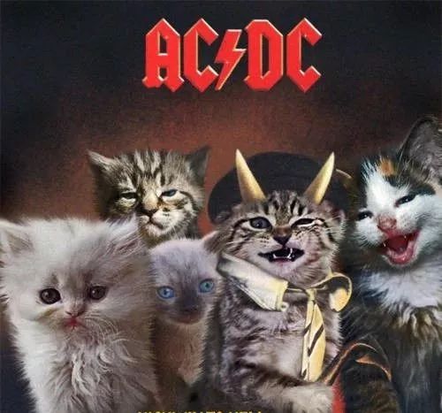 新手买电吉他需要准备什么,新手买电吉他需要买什么配套