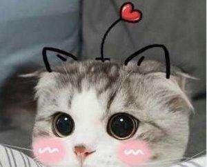 全球公认最好用的6款护肤品,价格实惠口碑爆表,你都用过吗