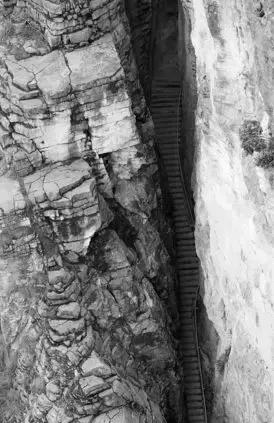 2022骞存仼鏂藉晢涓氶瓍鍔涙帓琛屾,榄呭姏鎵撳崱涔嬪煄鎭╂柦