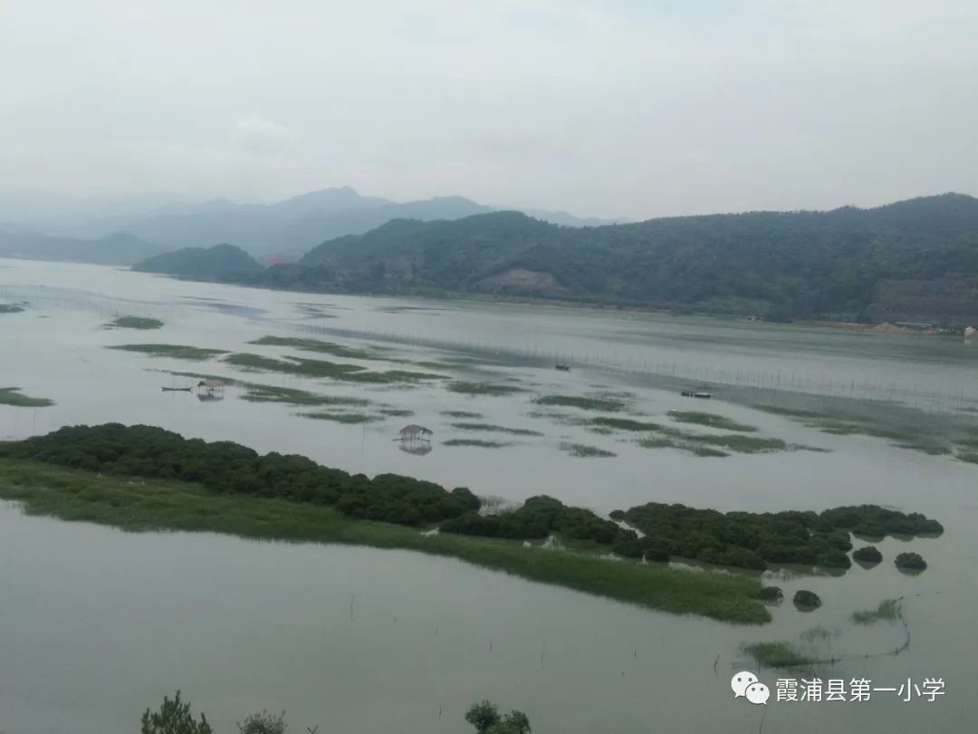 霞浦一中高一新生夏令营,霞浦县夏令营