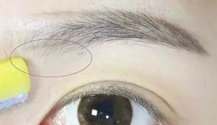 眉毛怎么修更好画,眉毛修毁了怎么画眉毛