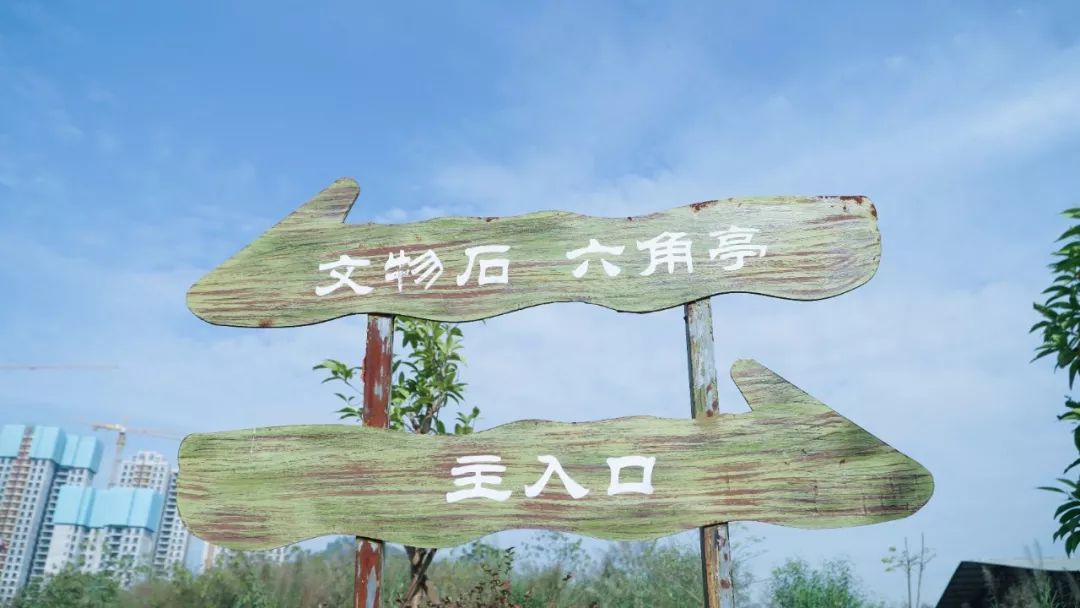 赏石艺、休闲游，这个体育公园都可以满足你！