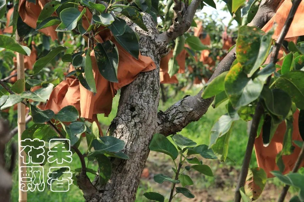 一位企业家的成功之路,企业家要有仰望星空的格局与胸襟