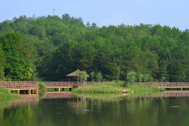 清新优雅空气新鲜是休闲的好地方,龙岩静心的地方