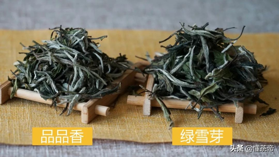 品品香和绿雪芽的老白茶哪个好,白茶测评