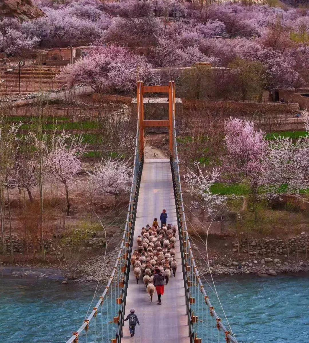 塔莎古道自驾最新消息,塔莎古道沿途景点