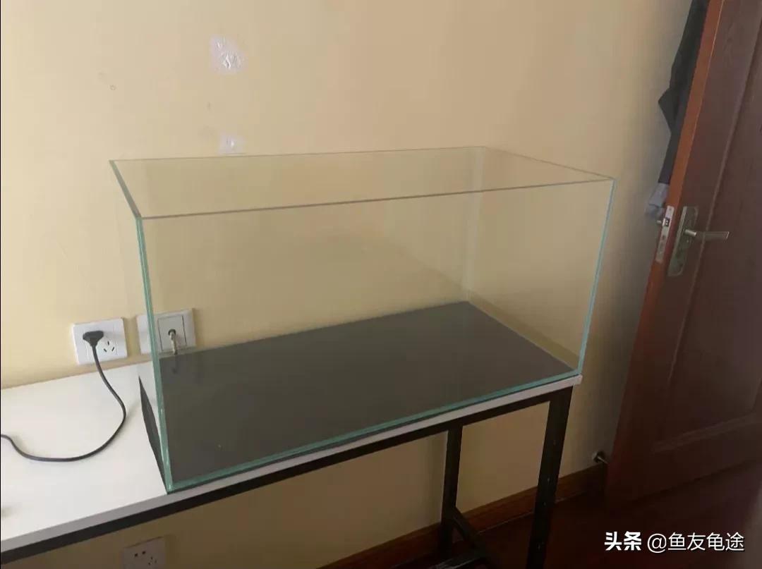 养鱼新手用的是圆形鱼缸该怎么办,新手养鱼选什么鱼缸