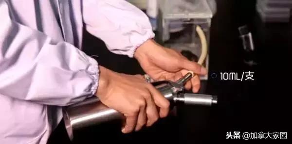 中国女留学生吸“笑气”成瘾：一年花十几万，瘫痪，坐轮椅回国！