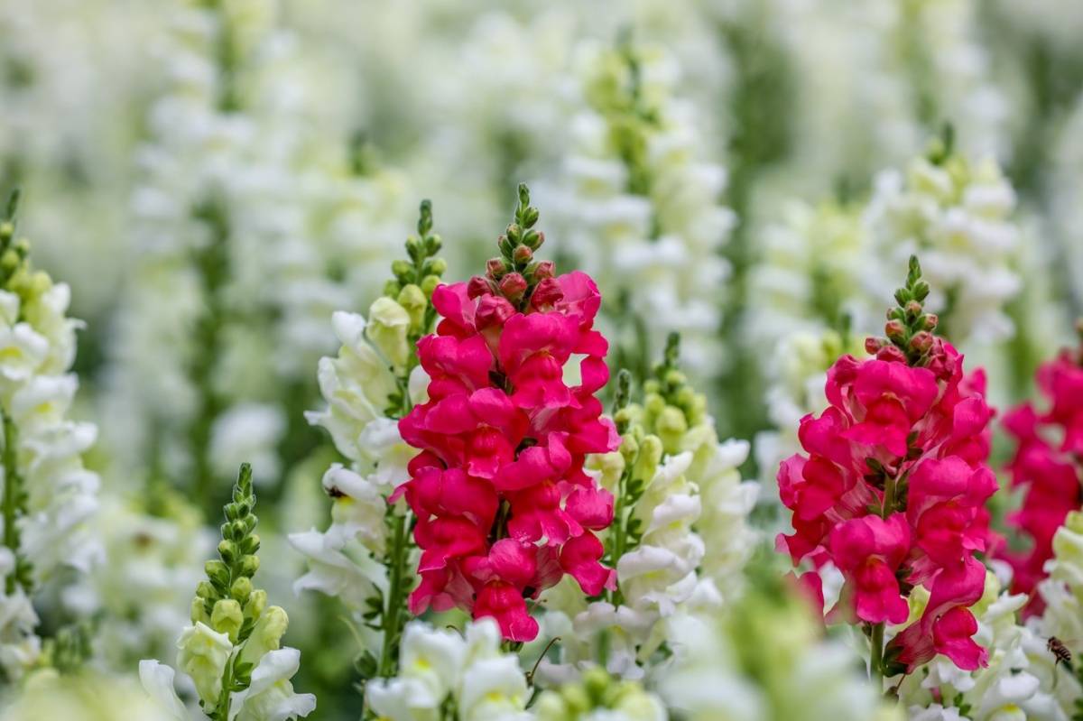 祖传家训对联,30副民间家训对联