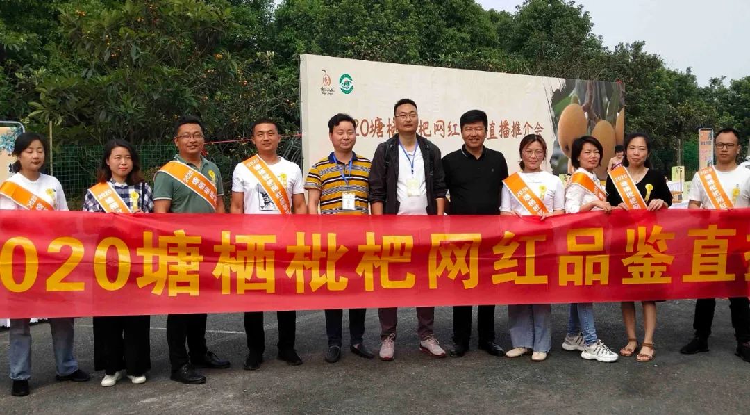 从微店售卖、朋友圈营销到直播带货...看“90后辣妈”变身塘栖枇杷电商“大神”