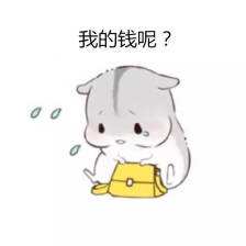 灏忛澶磋鐞嗚储瑙嗛,灏忛澶磋鐞嗚储