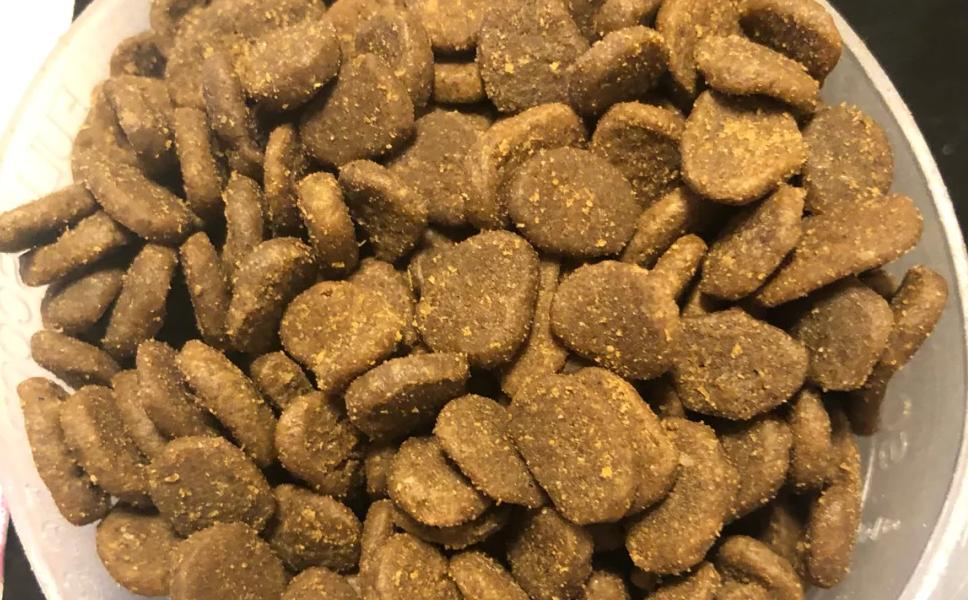 猫粮测评：多年养猫选粮经验分享