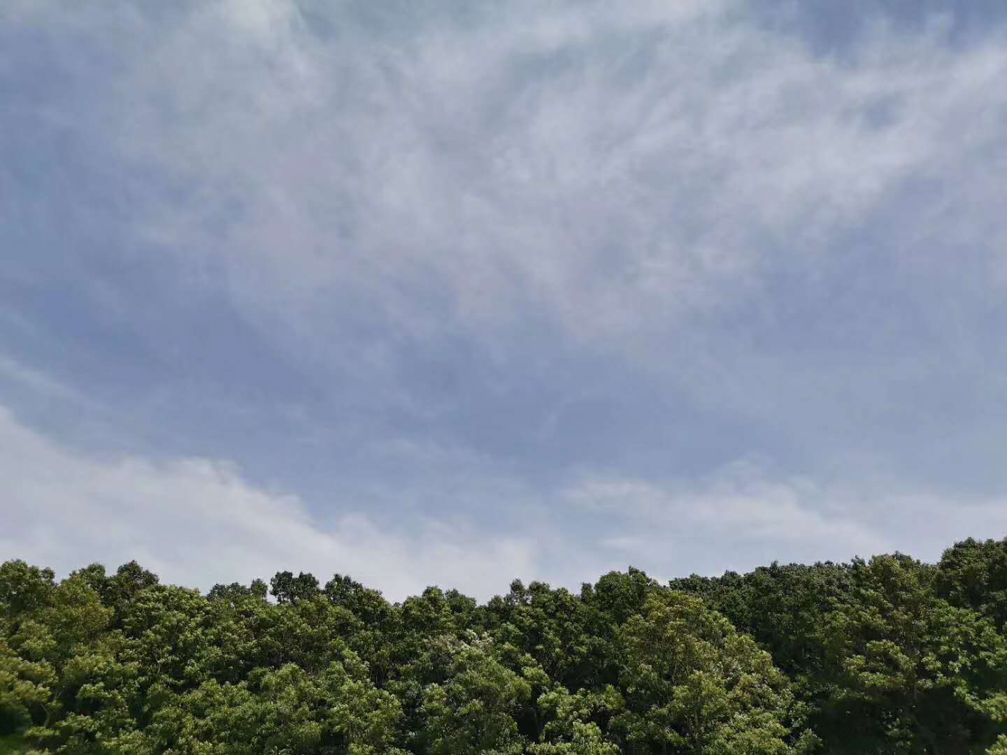 八个不起眼却很赚钱的小生意第四个最暴利！