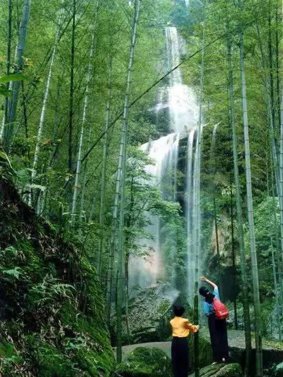 宜宾市长宁蜀南竹海,我的中国行