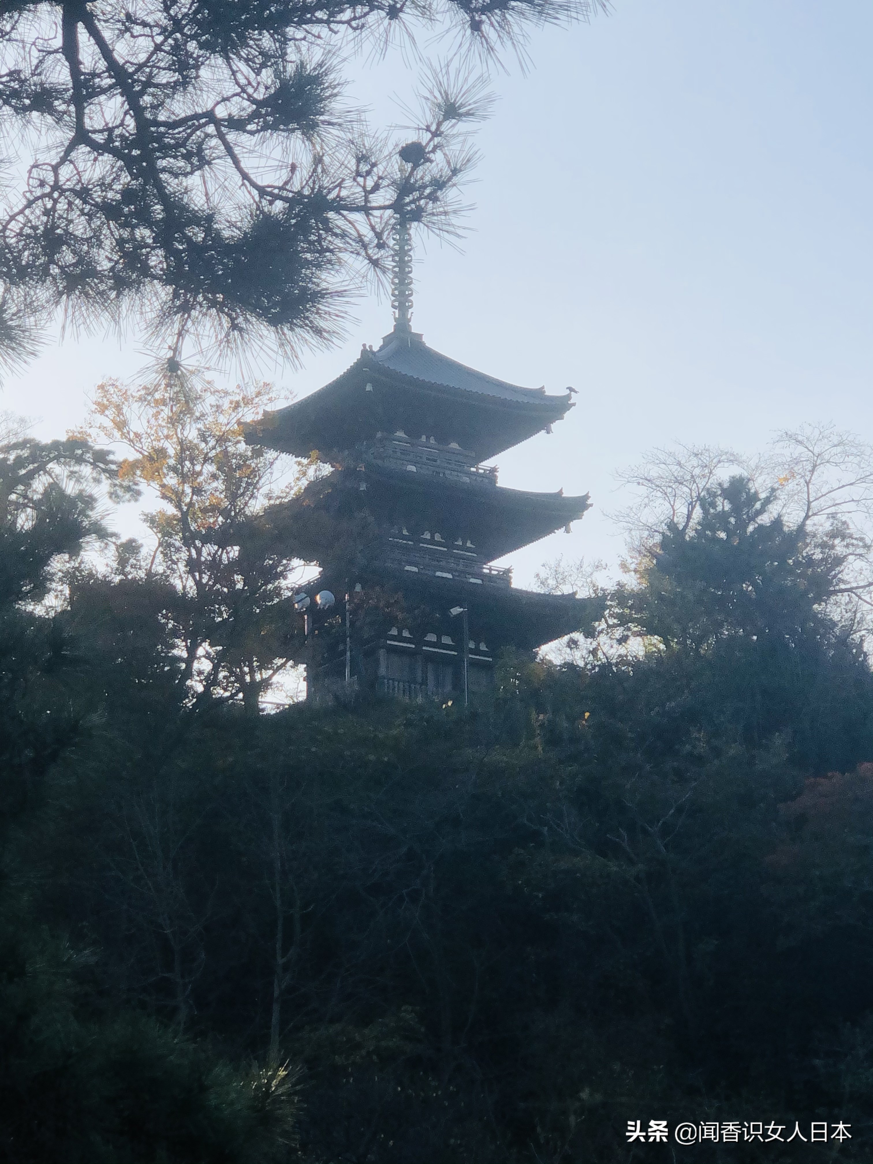 横滨三溪园,横滨三溪园介绍