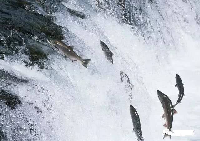 期货交易耐心等待,期货耐心等待的最高境界