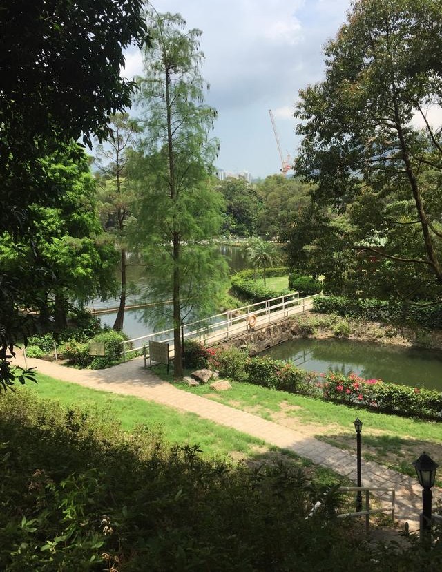 第一次去香港你一定要知道这些,半年没去过香港的感受