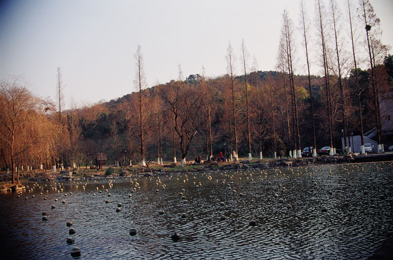 第14篇，尼康相机的标头-2021年元旦快乐