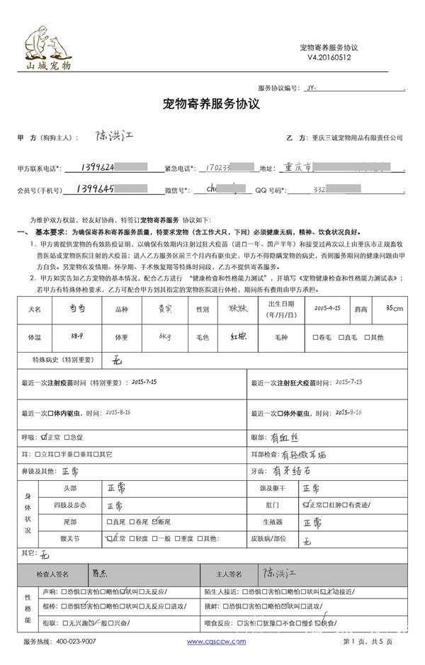 过年放假回家猫怎么办,放假回来猫咪怎么办