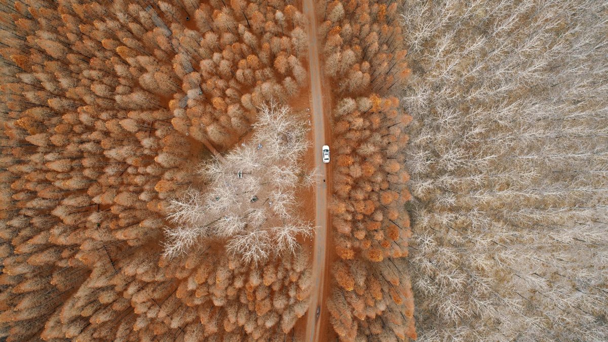 企业发展和个人规划,企业团队建设与管理