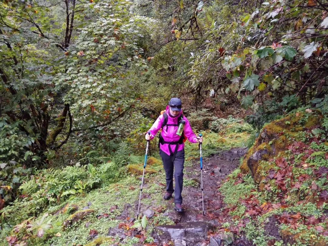 一位拥有多重身份的现代职业女性，偏偏钟情于*藏西**，是有病吗？