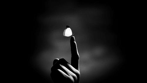 家在黄陂——连载9