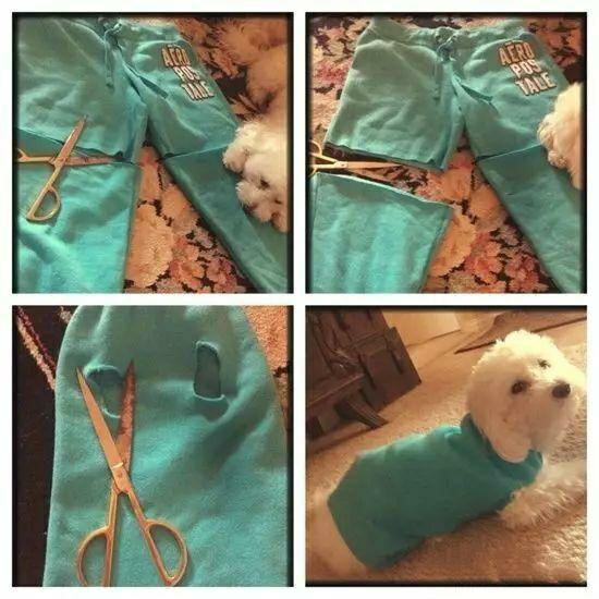 旧衣服做狗狗衣服步骤图片,旧衣服改狗狗四脚棉服视频