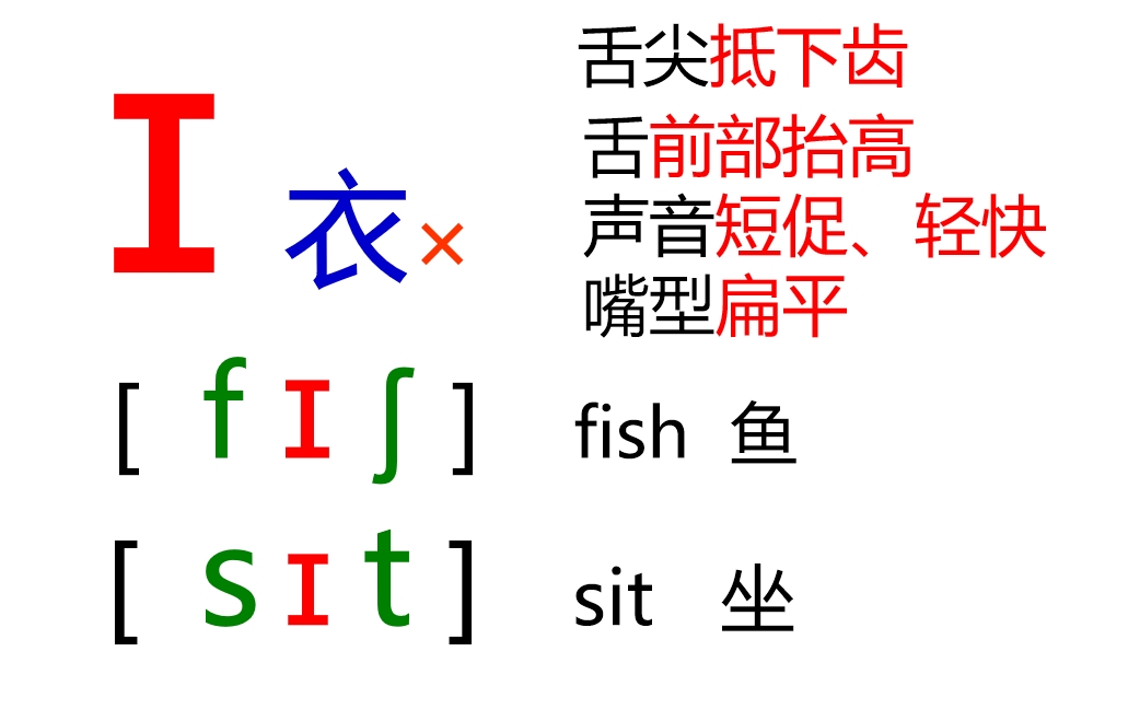 48个音标全套卡片作用,英语音标卡片48个正确发音嘴型