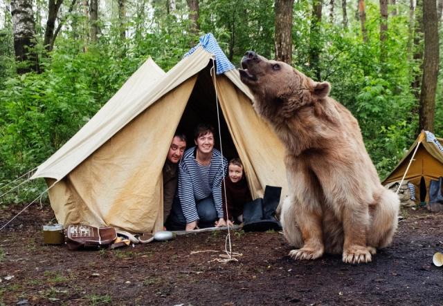 真实的俄罗斯图片,最霸气的俄罗斯图片