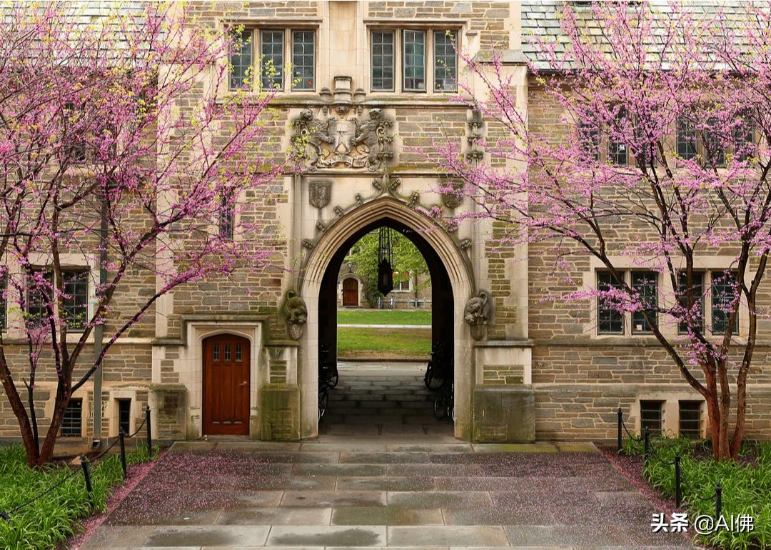 美国前100名大学,美国100所顶尖公立大学